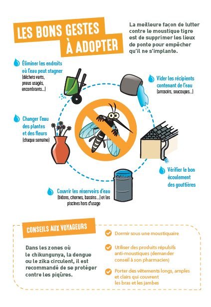 ⚠️🦟 MOUSTIQUE TIGRE – INFORMATION