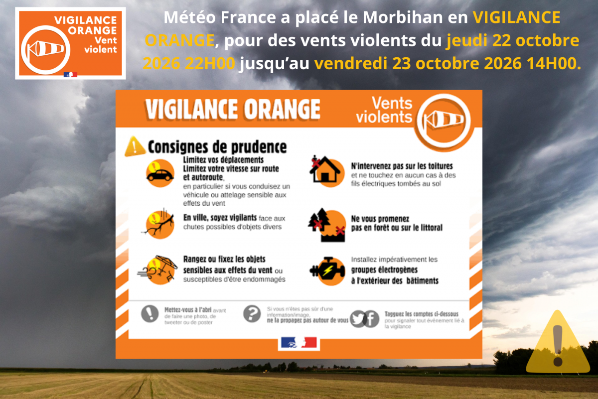 VIGILANCE ORANGE VENTS VIOLENTS
